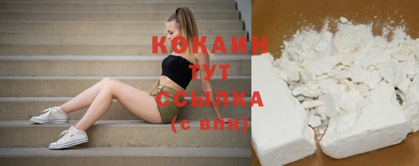 хмурый Липки