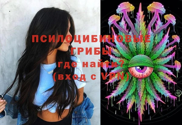 хмурый Липки