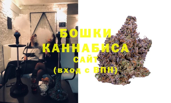 хмурый Липки