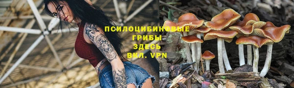 бошки Лиски