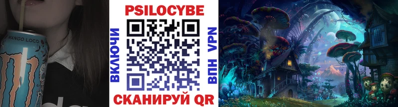 Псилоцибиновые грибы Psilocybe  купить наркотик  Моршанск 